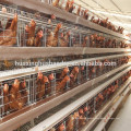 Best Selling and good price lay egg chicken cage